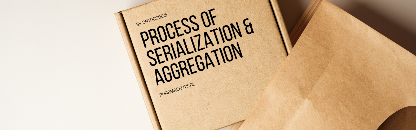 Process of Serialization and Aggregation